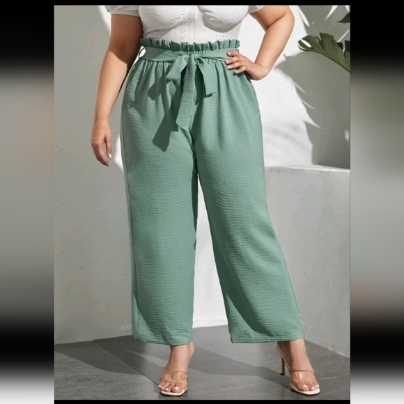 Plus Paperbag Waist Belted Pants - Picture 3 of 5